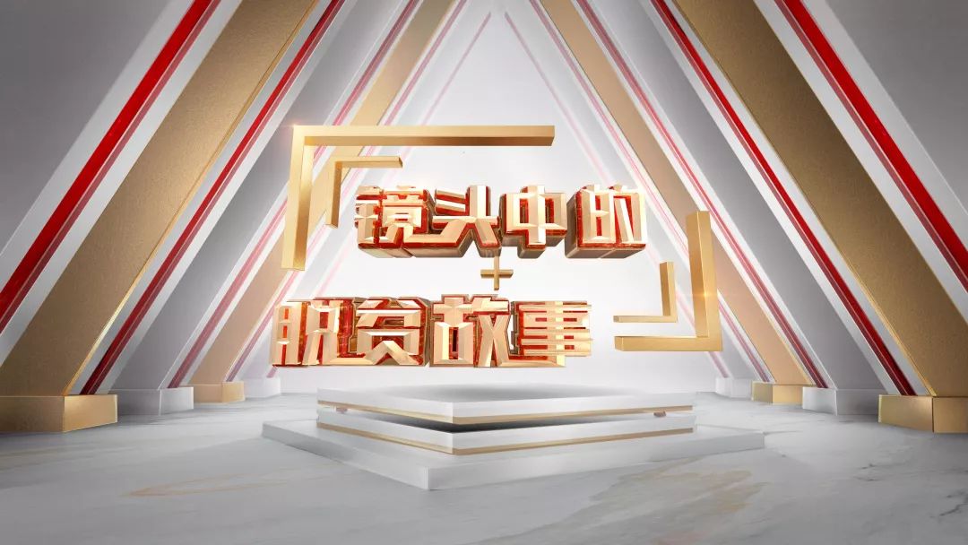 佛坪魯小芳的最新動(dòng)態(tài)，觀點(diǎn)分析及其影響的聚焦探討