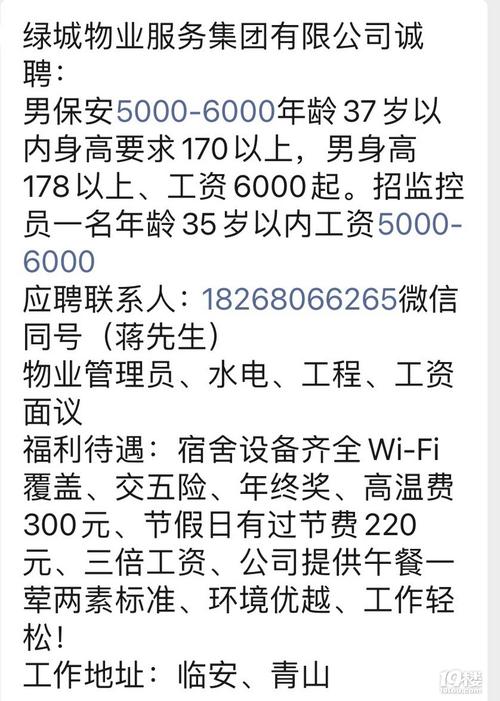 池州保安招聘最新信息,池州保安招聘最新信息及應(yīng)聘全攻略——初學(xué)者與進(jìn)階用戶均適用