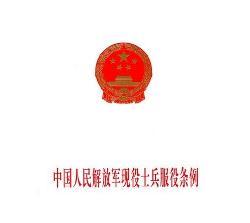 豬肉粉 第232頁