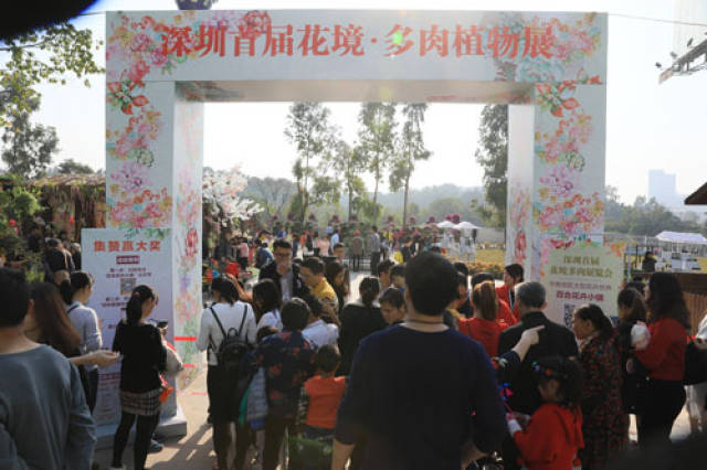涉縣攤位出租轉(zhuǎn)讓，價值與風險并存的信息解析