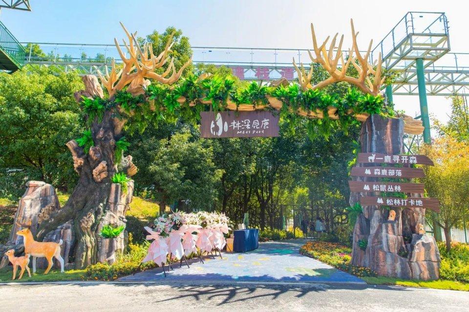 金壇區(qū)最新房價探索，秘境之旅與心靈寧靜的房價展望