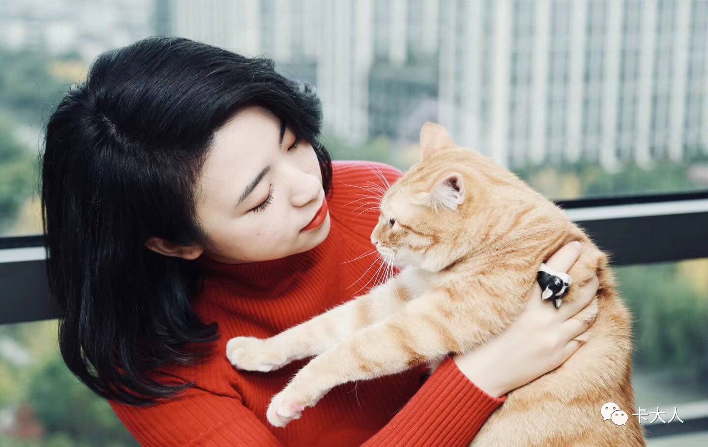 驚悚直播背后的日常溫情，直播小達(dá)人的歡樂時光揭秘