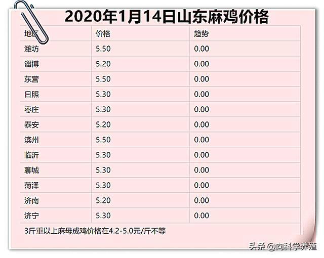 山東麻雞價格行情詳解及獲取最新分析與預(yù)測的方法