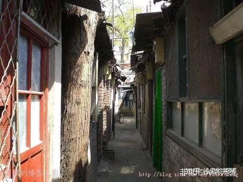 探索小巷深處的獨特風味，比賽采小店，味蕾與心靈的奇妙之旅
