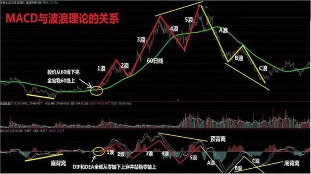 股票越跌越買，信心與自我成長(zhǎng)的博弈之路