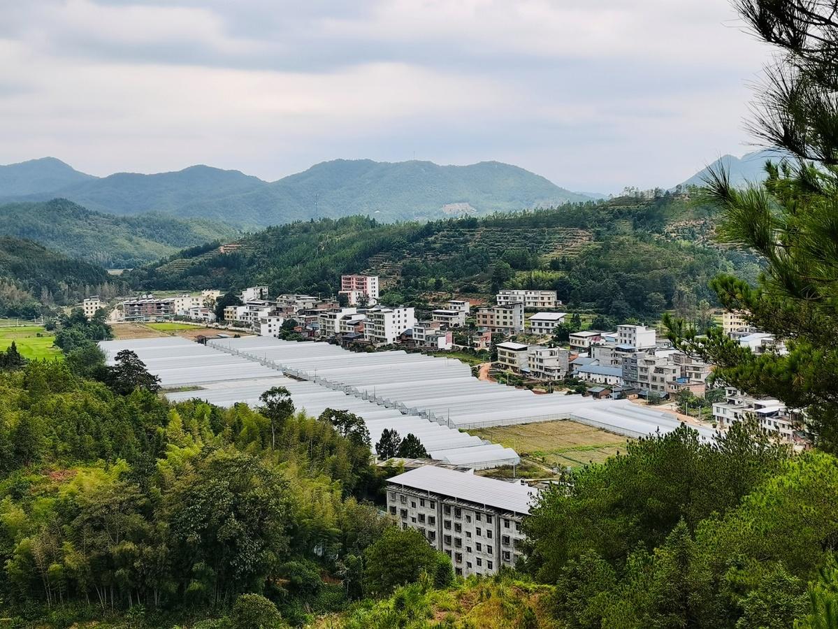 長沙隱秘小巷二手房新篇章，獨特環(huán)境與特色小店的奇妙故事背后的房價探索