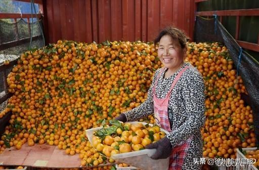 單身公社，時代產(chǎn)物與文化印記的資訊集結(jié)地