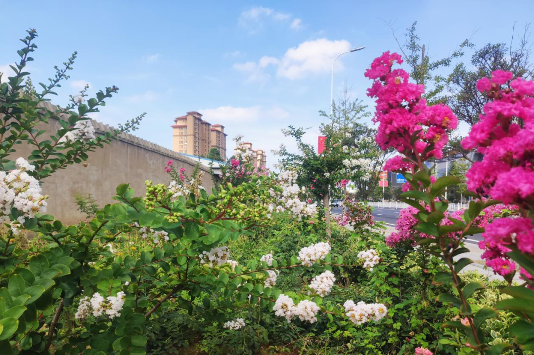 紫薇東進(jìn)新篇章，探秘自然美景，啟程內(nèi)心寧?kù)o之旅