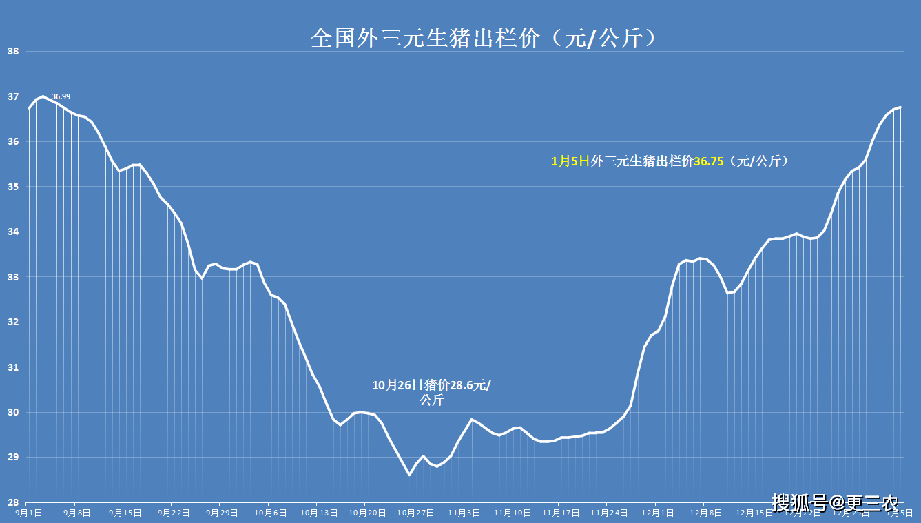 江蘇如東，生豬價格與美景之旅的探尋