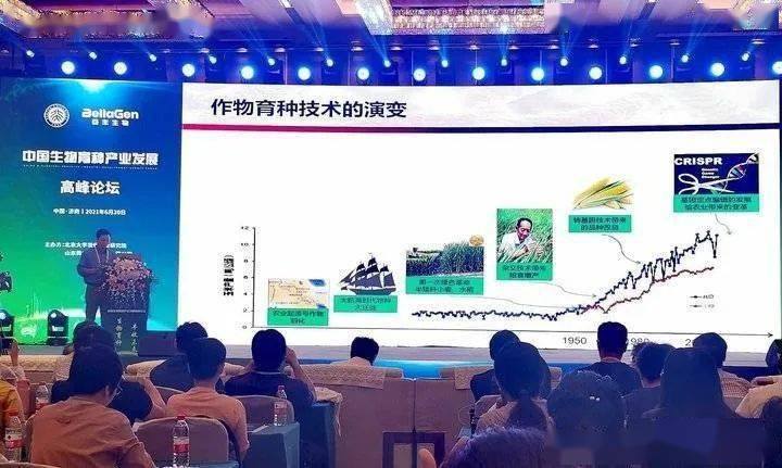 雄縣最新資訊全面解讀，最新動態(tài)與評測介紹