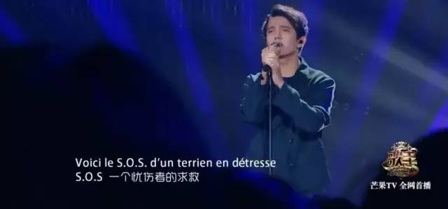 迪瑪希比賽遭遇風(fēng)波，藥物與自然的療愈之旅，探尋內(nèi)心平靜的旅程